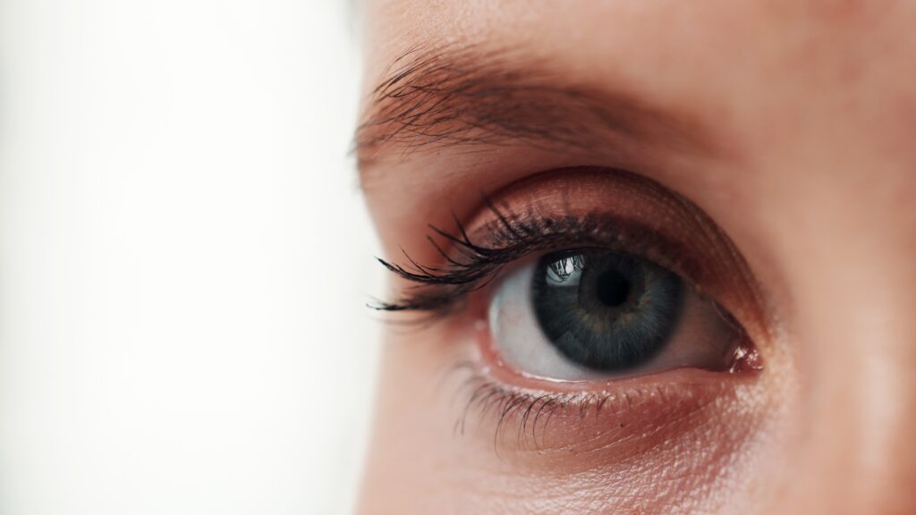 Vision Correction, Edmonton & Northern Alberta - Visionmax Eye Centre Vision Correction, Edmonton & Northern Alberta