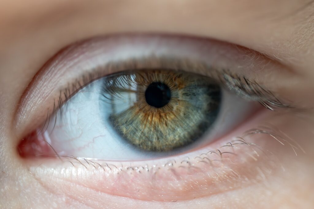 Laser Vision Correction, Edmonton & Northern Alberta - Visionmax Eye Centre Laser Vision Correction, Edmonton & Northern Alberta